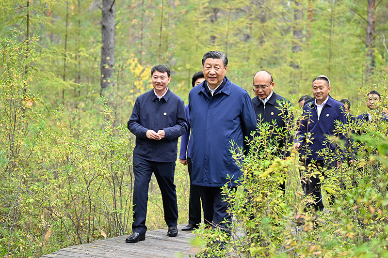 9月6日至8日，中共中央總書記、國(guó)家主席、中央軍委主席習(xí)近平在黑龍江考察。這是6日下午，習(xí)近平在大興安嶺地區(qū)漠河市漠河林場(chǎng)自然林區(qū)考察